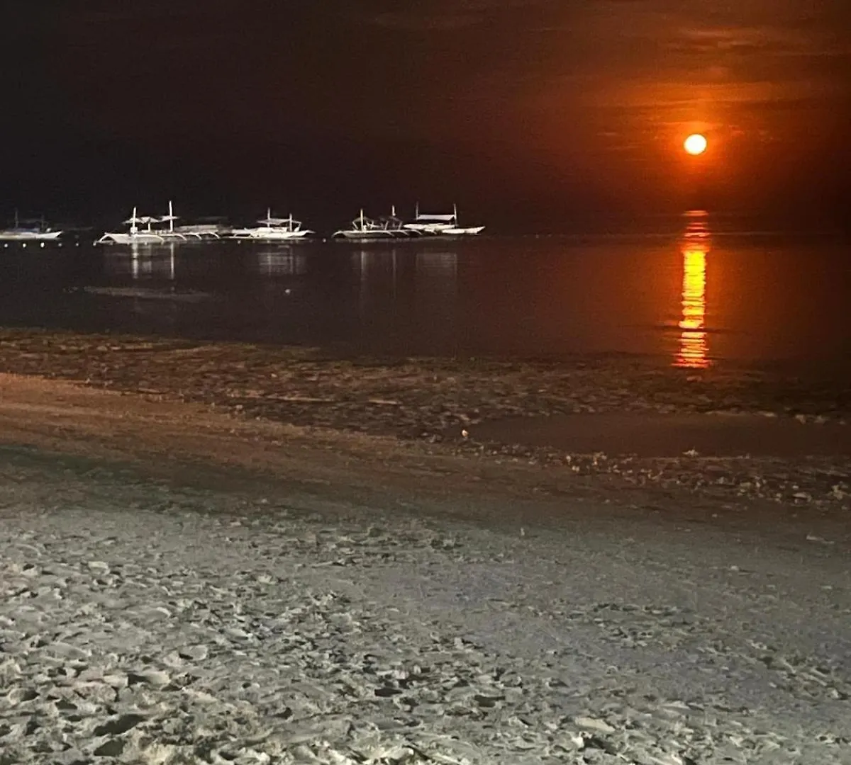 White House Panglao Apartment 0*,
